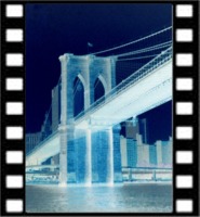 ny 110415_1213_13 neg.jpg